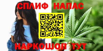 метадон Гай