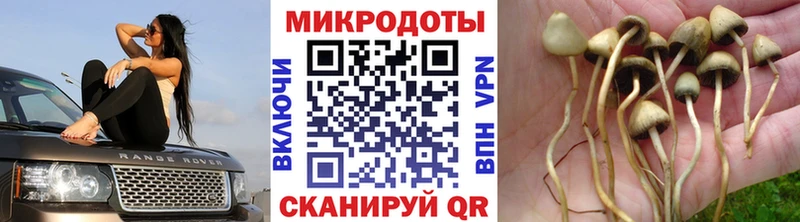 darknet состав Алатырь Галлюциногенные грибы мухоморы
