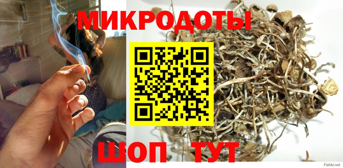 Галлюциногенные грибы Cubensis  Галлюциногенные грибы GOLDEN TEACHER  Вход с VPN  Алатырь 