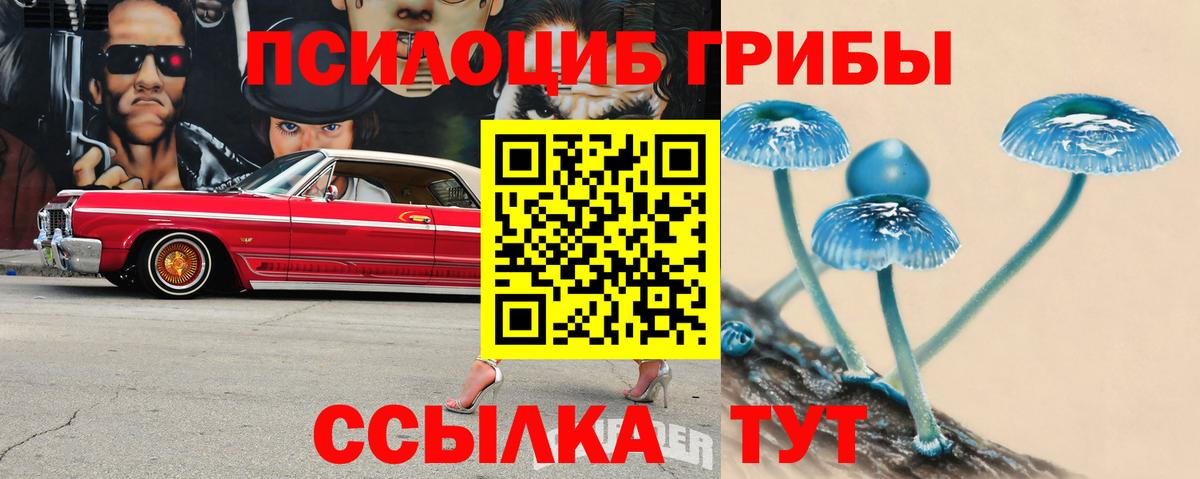 Псилоцибиновые грибы мицелий Алатырь