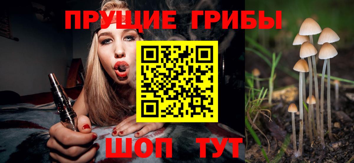 Галлюциногенные грибы MAGIC MUSHROOMS  Галлюциногенные грибы прущие грибы  Алатырь  купить   Вход с VPN 