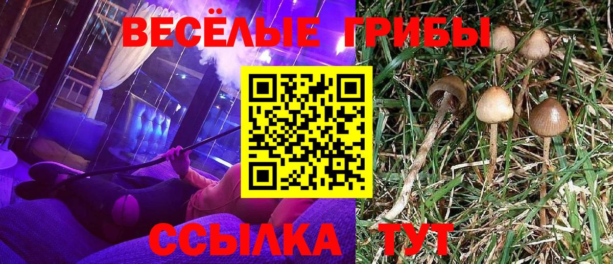 Псилоцибиновые грибы GOLDEN TEACHER Алатырь