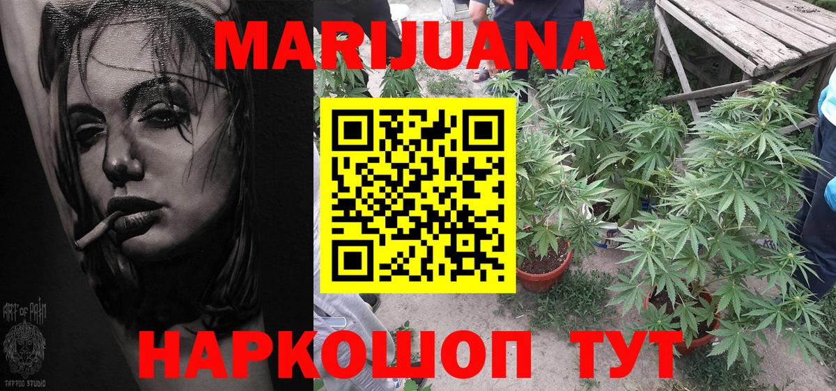 Каннабис сатива  Канабис тримм  Алатырь  Вход с VPN 